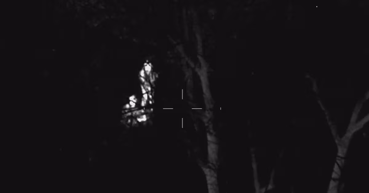 Video shows Toronto police rescue couple and their baby who got lost at Rouge National Urban Park - CTV News