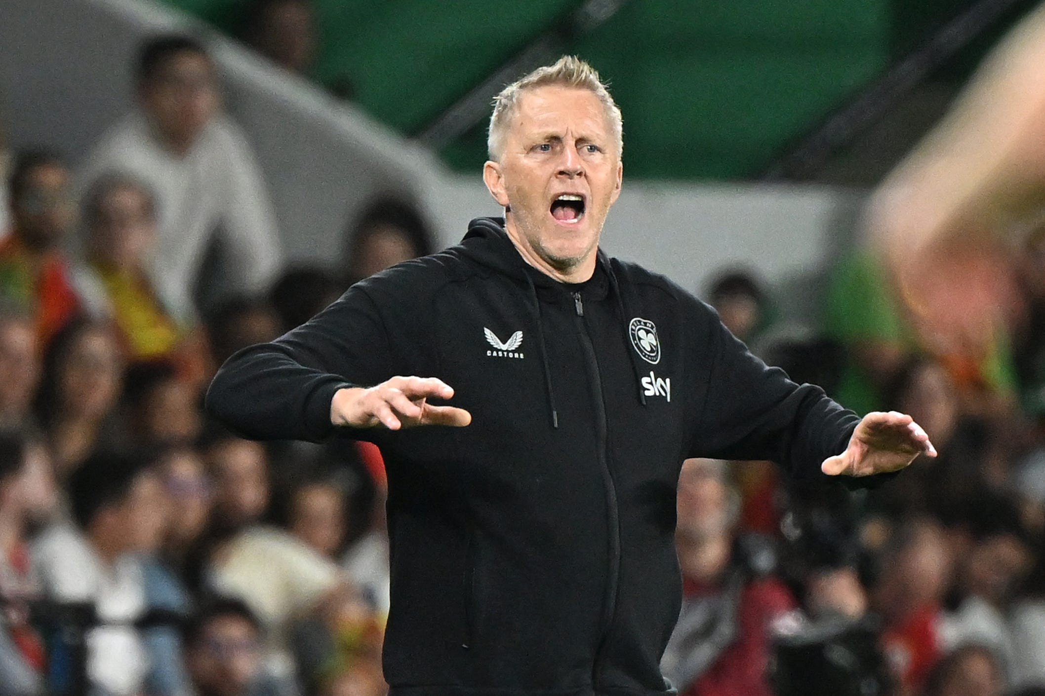 Republic of Ireland manager Heimir Hallgrimsson