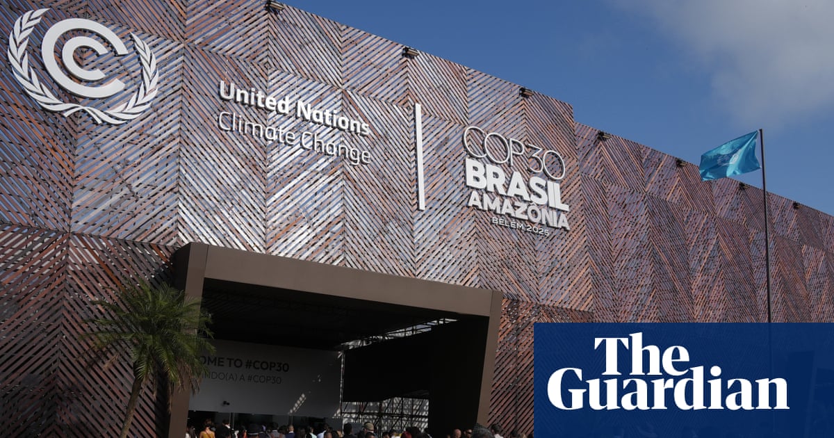 ‘It’s like arguing with robots’: negotiators on the state of Cop30 talks | Cop30