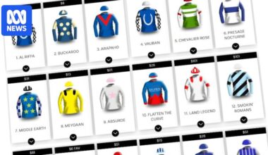 AUDIO: Melbourne Cup punting loses popularity but gambling losses rise - Australian Broadcasting Corporation