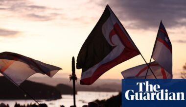 ‘Reframes history’: fears Māori knowledge diluted in plan to revise New Zealand curriculum | Māori