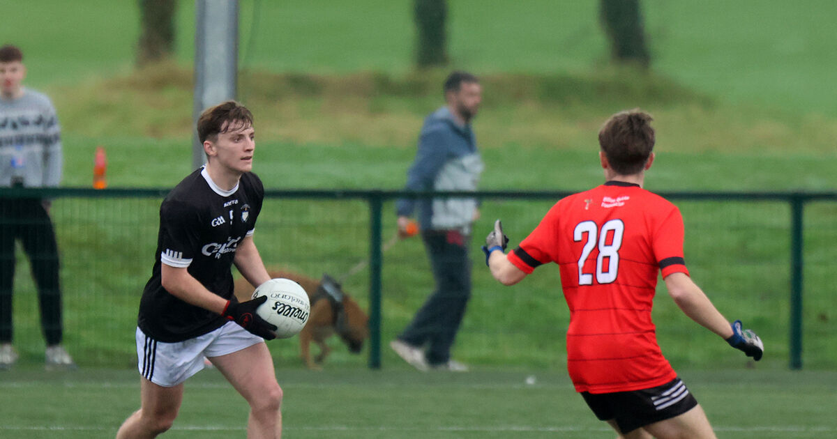 St Francis College Rochestown roar back with four goals to sink High School Clonmel