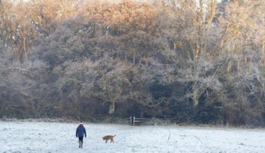 Ireland braces for freezing week ahead with wintry showers and widespread frost