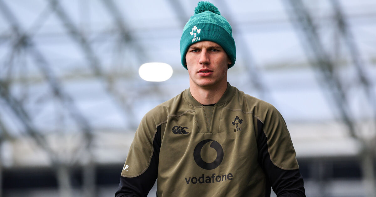 Garry Ringrose and Josh van der Flier recalled to Ireland team to face South Africa