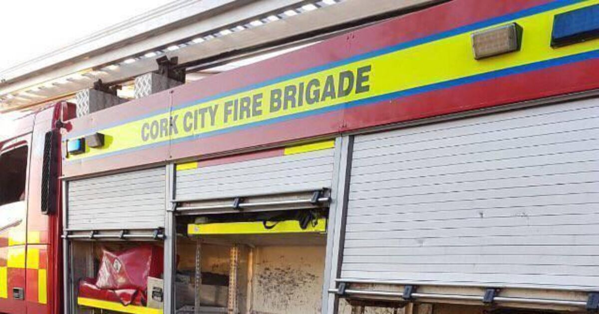 Man in his 60s dies in Cork city house fire