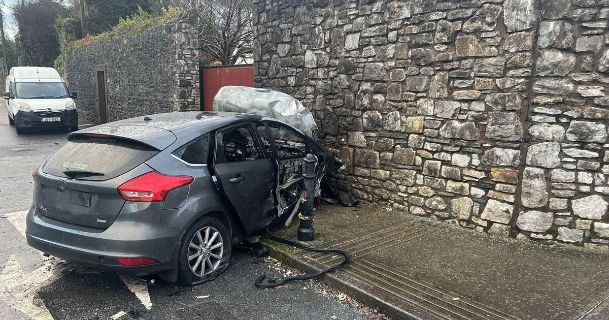 Two hospitalised after car hits wall and catches fire in Blackrock