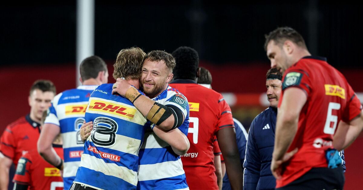 McMillan laments Munster's inability to make early supremacy count after Stormers bite back