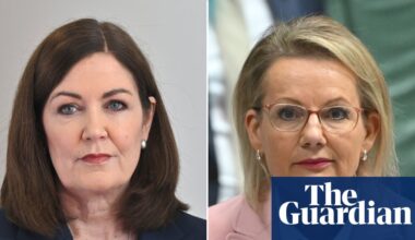 Liberal senator says Sussan Ley is ‘losing support’ and declines to endorse her as leader | Sussan Ley