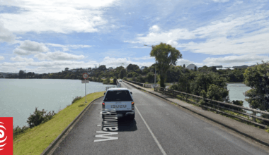 Raglan road-rage couple sentenced over brutal attack on teens after bridge stand-off