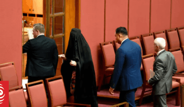 Australian Senate shut down for 1.5 hours after Pauline Hanson's burka stunt