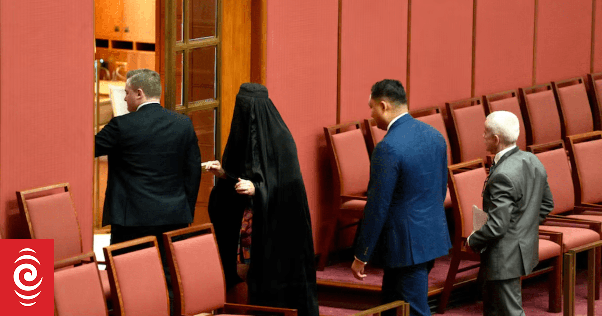 Australian Senate shut down for 1.5 hours after Pauline Hanson's burka stunt