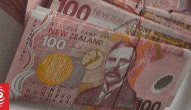 Wellington cleaner's shock $20,000 discovery