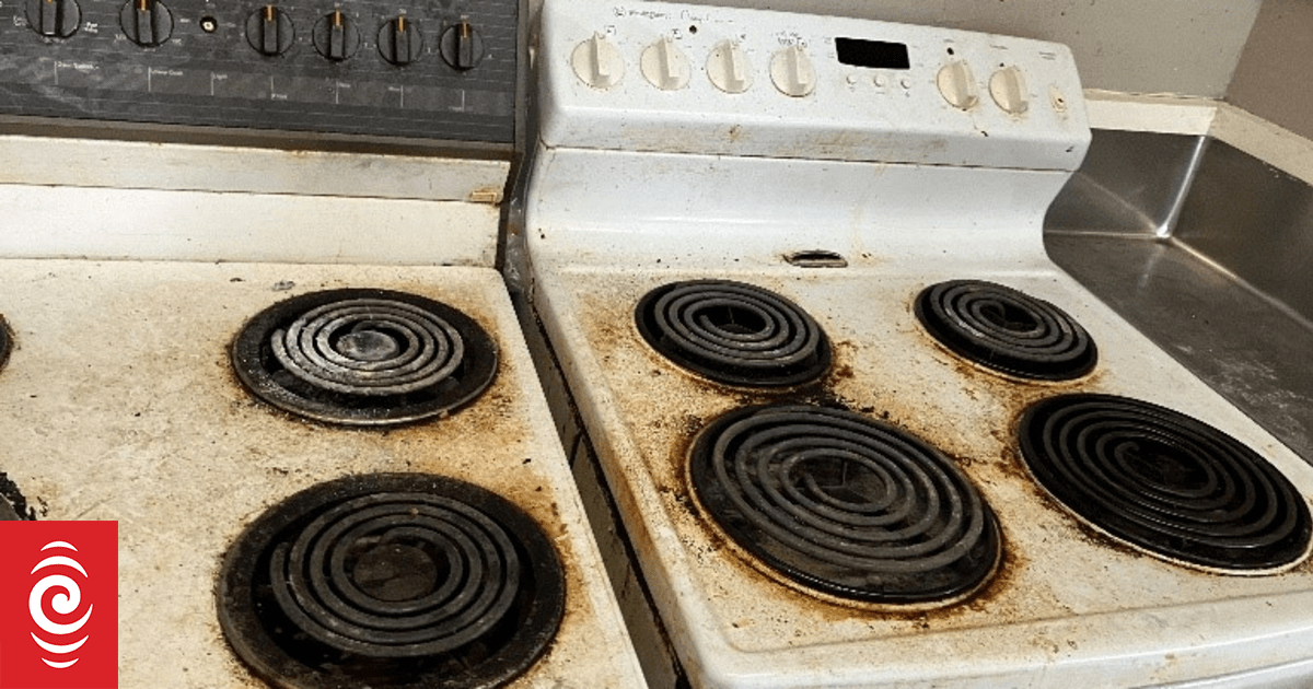 Sanctioned landlord 'not the kind of guy that really wants to do the right thing', neighbour says