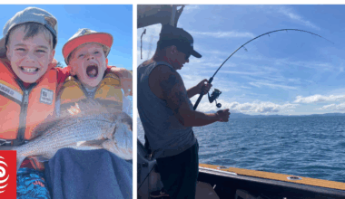 Recreational fishers oppose Hauraki Gulf fishing reforms, Shane Jones says 'it's a bit late'