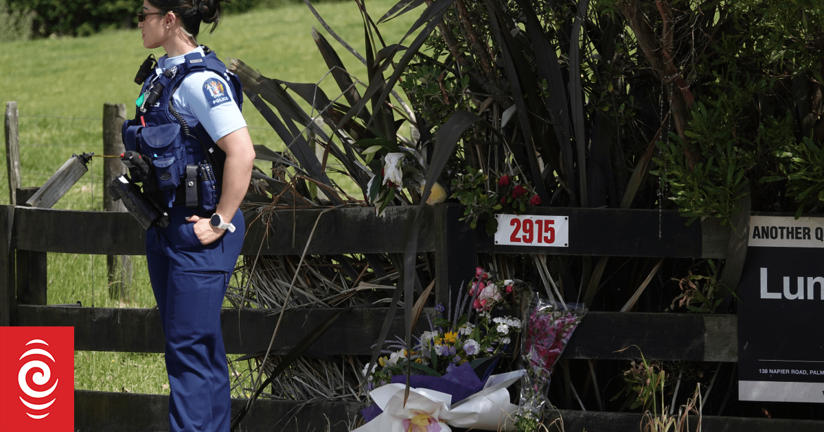 'The hardest journey possible': $250,000 raised for mother of children killed in Sanson fire