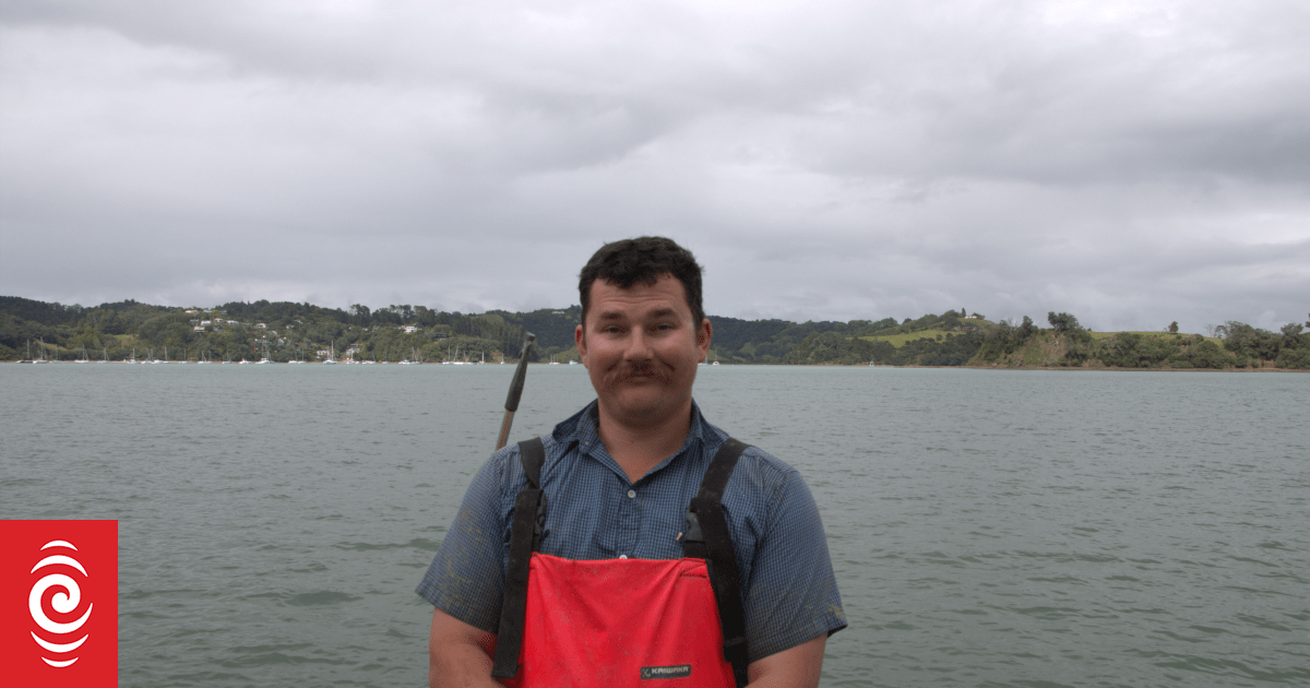 'It's all gone already to pay off debts': Oyster farmers react to compensation deal