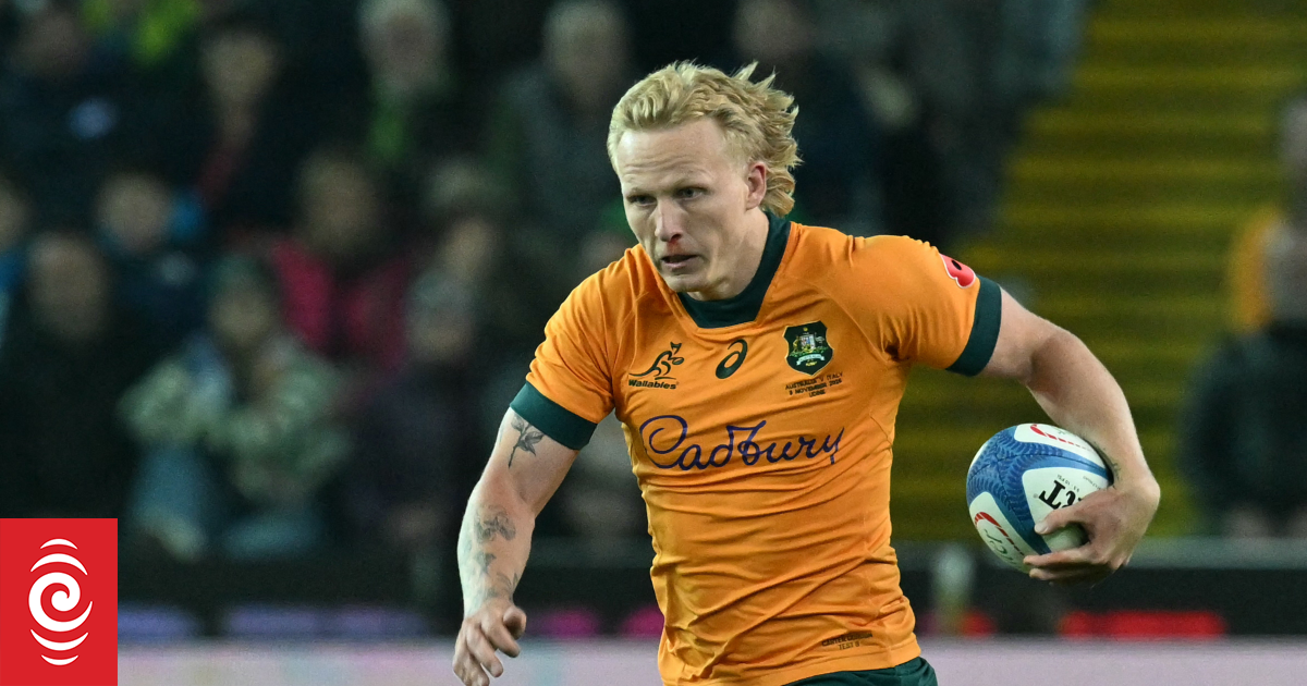 Ireland victorious against Wallabies in Dublin