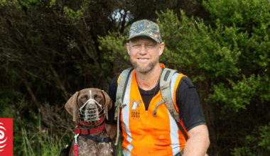 Why are there so few rules for the millions of cats that damage our biodiversity?