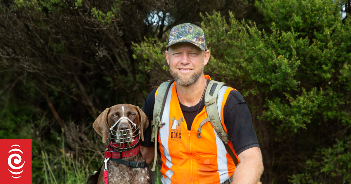 Why are there so few rules for the millions of cats that damage our biodiversity?