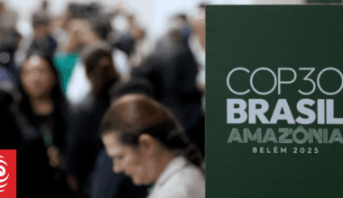 New Zealand slumps again in climate-change league table