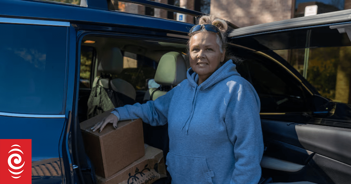 Americans face food cuts and flight delays in record US government shutdown