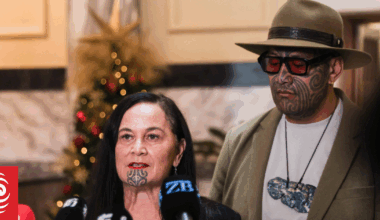 What happens next for Te Pāti Māori and expelled MPs Mariameno Kapa-Kingi, Tākuta Ferris
