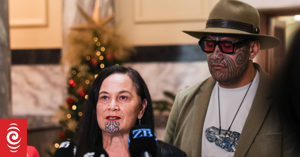 What happens next for Te Pāti Māori and expelled MPs Mariameno Kapa-Kingi, Tākuta Ferris