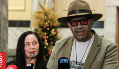 Te Pāti Māori purge fails to end the party war