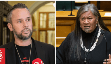 Expelled MPs Mariameno Kapa-Kingi and Tākuta Ferris cast first votes as independents