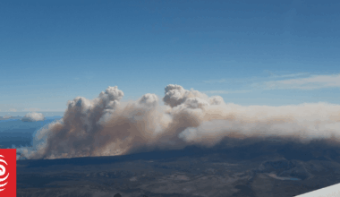 Tongariro fire: Threatened species in area 'so unique, sacred and spectacular'
