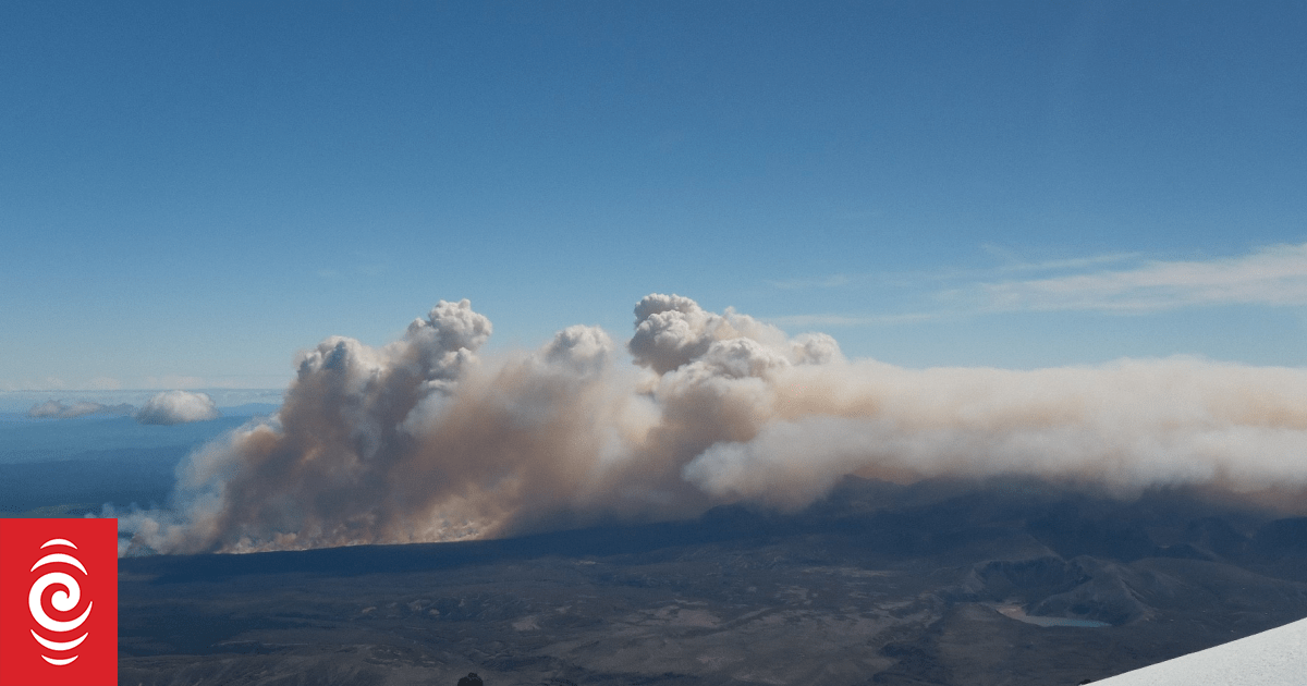 Tongariro fire: Threatened species in area 'so unique, sacred and spectacular'
