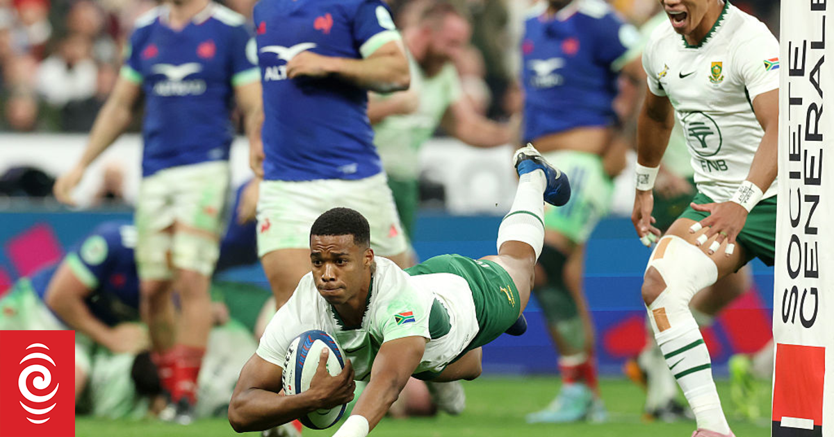 Rugby: Springboks pull off remarkable win over France at Stade de France
