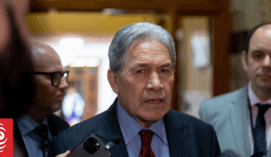 'Tawdry, silly argument': Winston Peters criticises asset sales, says government has not fixed economy
