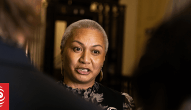 Greens pledge to revoke fast-track consents for coal, hard-rock gold, seabed mining projects