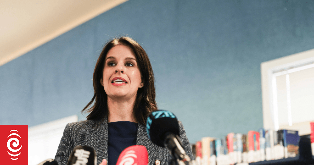 Education Minister's plans for Teaching Council a 'power grab', union says