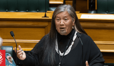 Mariameno Kapa-Kingi likely to take court action over Te Pāti Māori expulsion