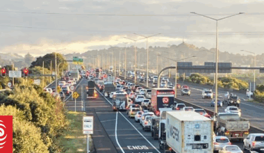 NZ will be 'dumping ground' for high-emission cars, EV advocate warns
