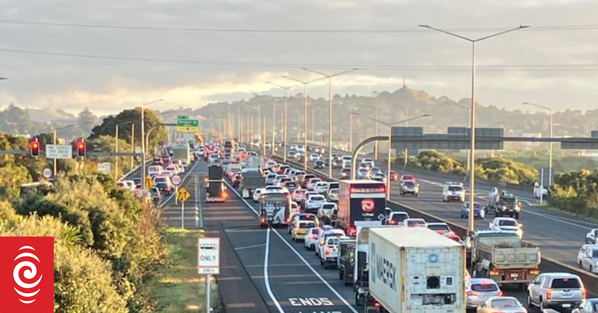 NZ will be 'dumping ground' for high-emission cars, EV advocate warns