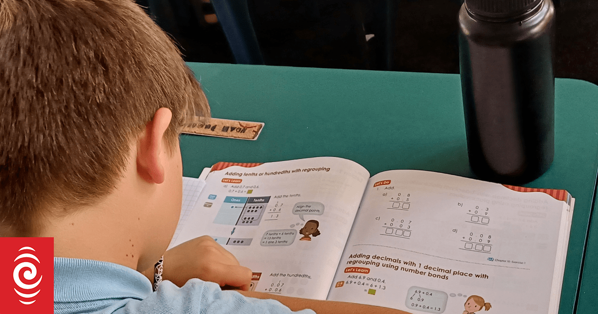 Maths professor says Education Minister's claims a school trial is 'groundbreaking' is problematic