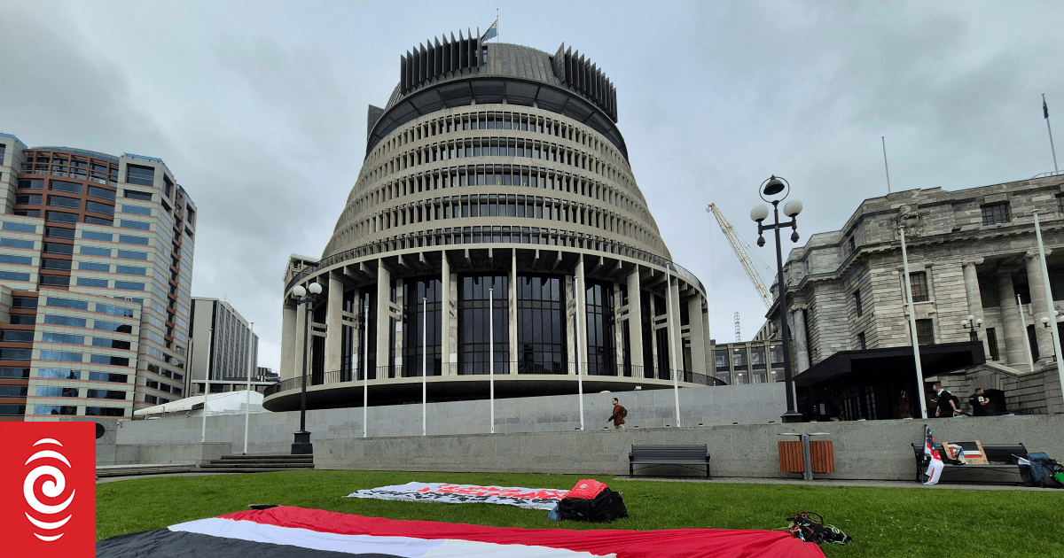 Schools across Aotearoa reaffirm commitment to Te Tiriti o Waitangi after changes to Education Act