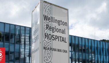 IT system at Wellngton Hospital a 'constant risk' to patient safety, says union