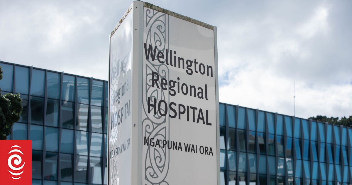 IT system at Wellngton Hospital a 'constant risk' to patient safety, says union