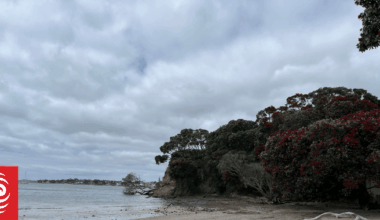 Police officer jumps in sea to save woman stranded near Auckland's Castor Bay