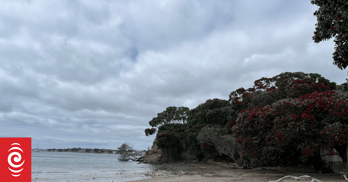 Police officer jumps in sea to save woman stranded near Auckland's Castor Bay