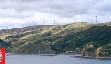 Helicopter crash near wind farm on Wellington's west coast, one injured