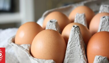 Food prices up again with dairy and eggs more expensive