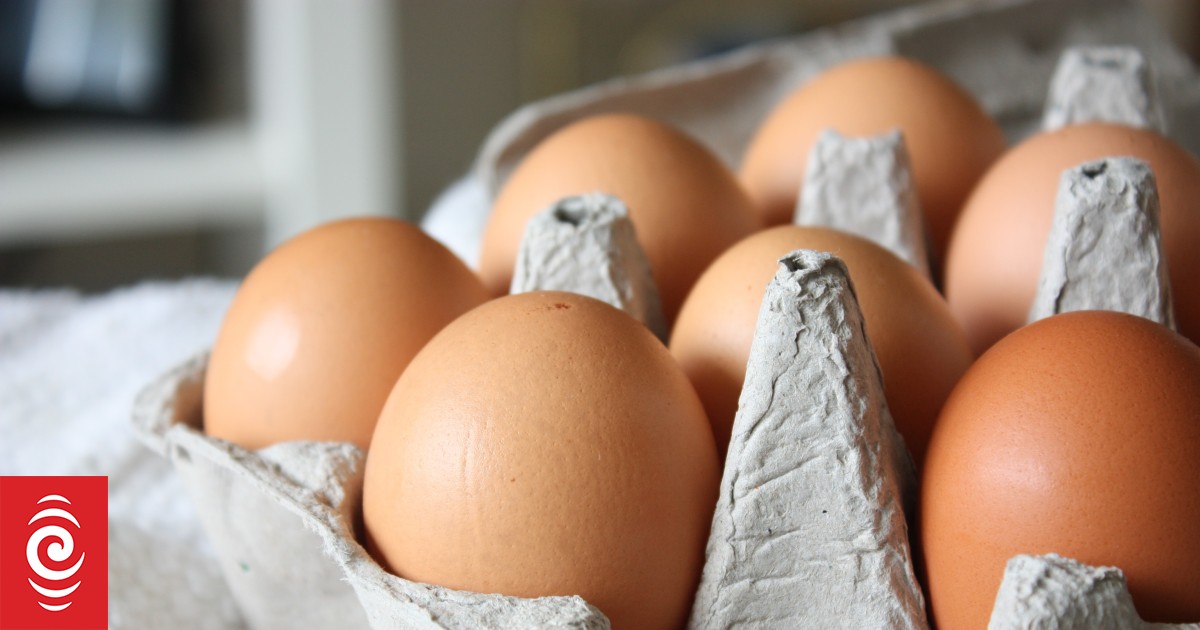 Food prices up again with dairy and eggs more expensive