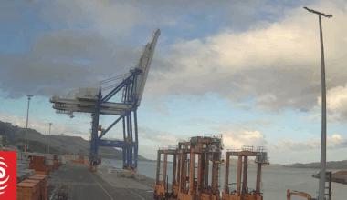 Customs seize major cocaine haul at Port Chalmers