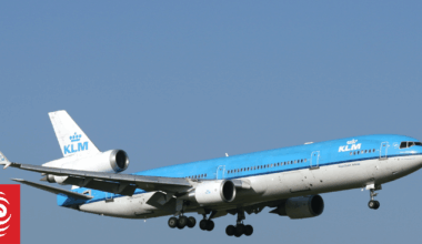 Two US cargo carriers ground all MD-11 aircraft after deadly Louisville crash