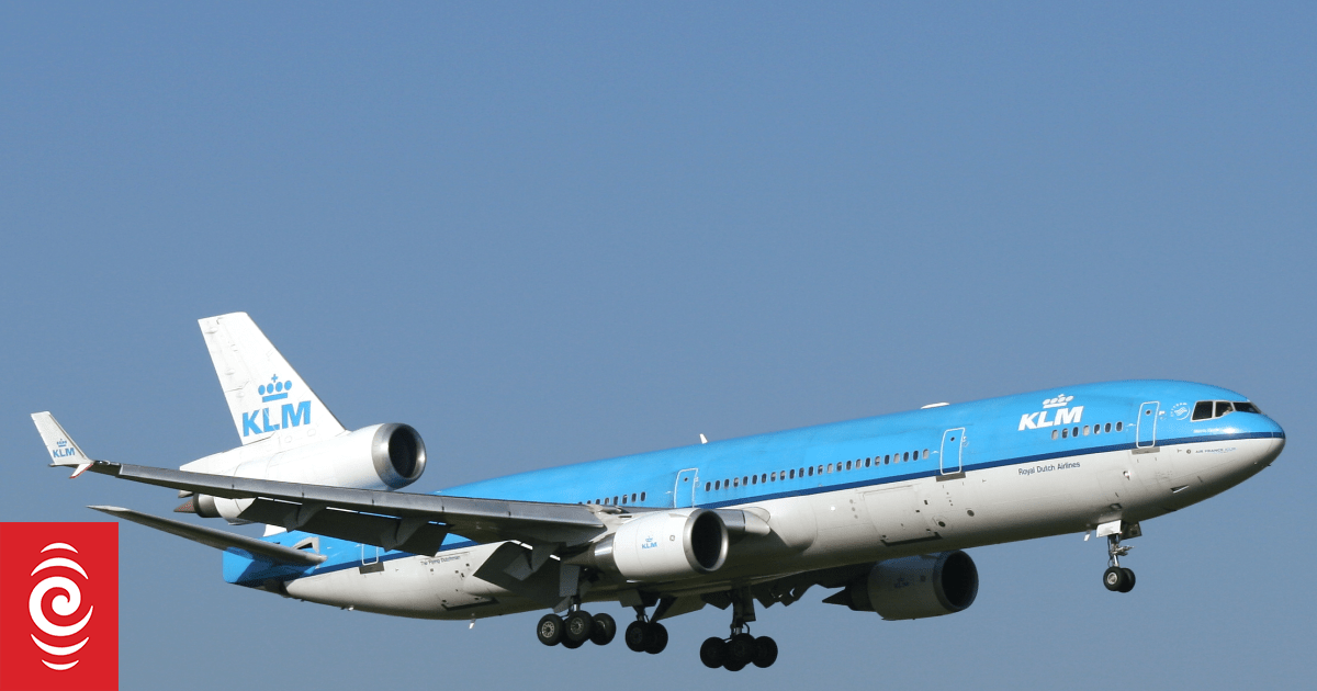 Two US cargo carriers ground all MD-11 aircraft after deadly Louisville crash